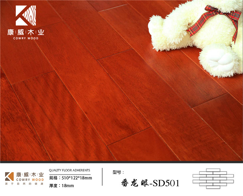 番龙眼-SD501.jpg